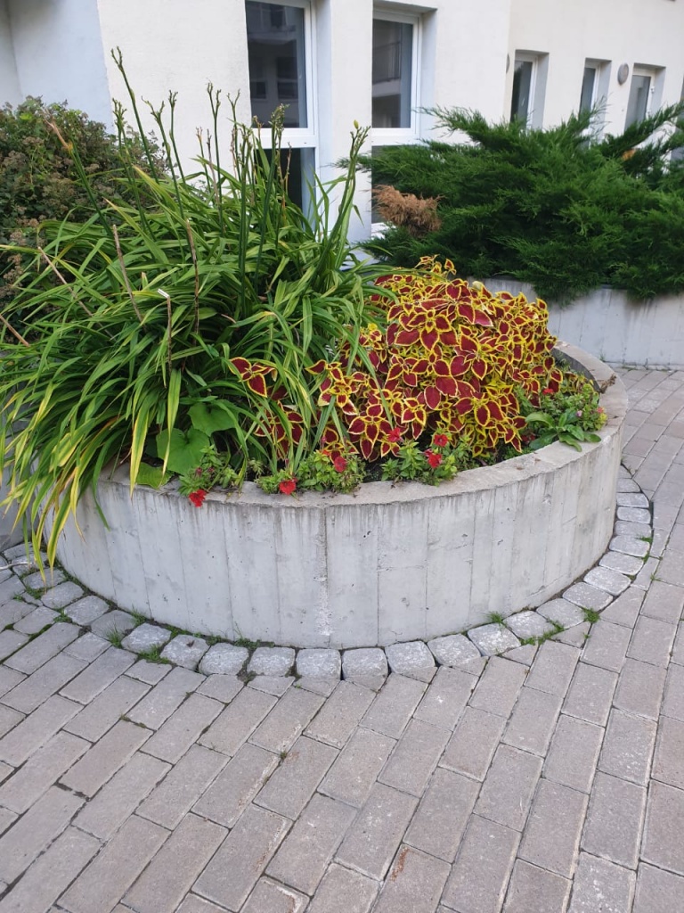 WhatsApp Image 2020-09-24 at 18.45.36.jpeg