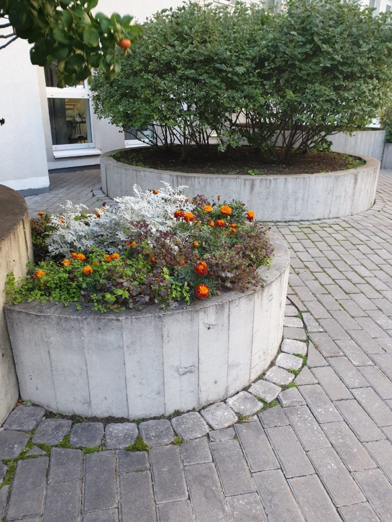 WhatsApp Image 2020-09-24 at 18.45.36 (1).jpeg